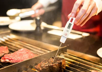 Chef checking food temperature