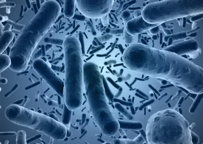 Viruses under a microscope
